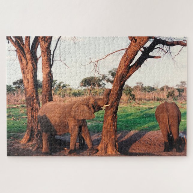 elephant push jigsaw puzzle (Horizontal)