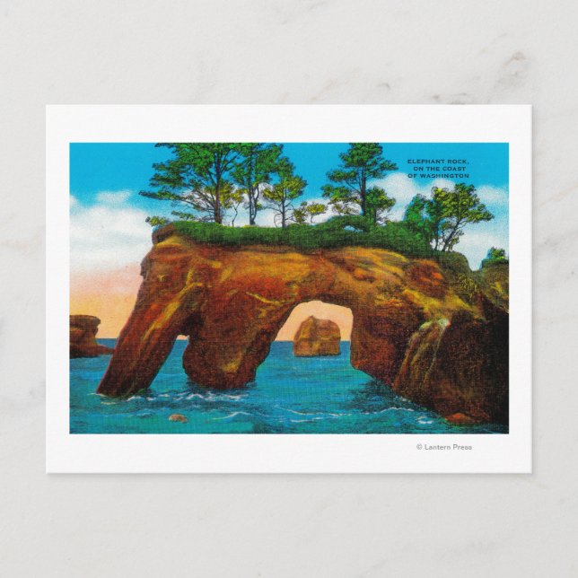 Elephant Rock on Washington Coast Postcard (Front)