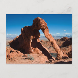 Elephant Rock Postcard