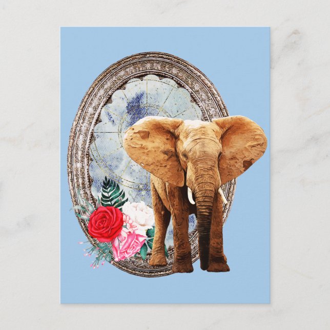 Elephant, Roses, And Frame Postcard (Front)