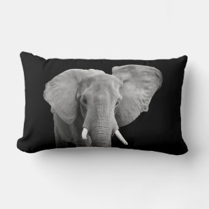 Elephant Safari Animal Photo on Black Lumbar Cushion