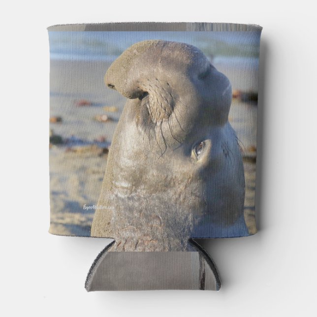 Elephant Seal bull Can Cooler (Front)