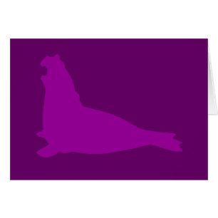 Elephant Seal Card Purple
