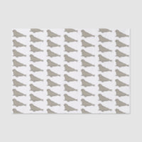 Elephant seal cartoon illustration 