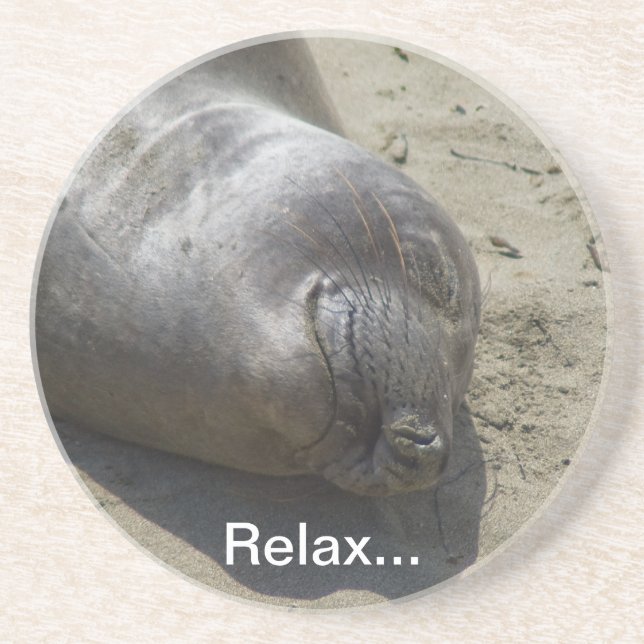 Elephant Seal Coaster (Front)
