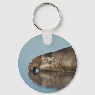 Elephant Seal Key Ring