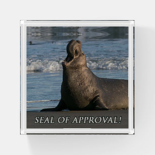 Elephant Seal Of Approval Paperweight