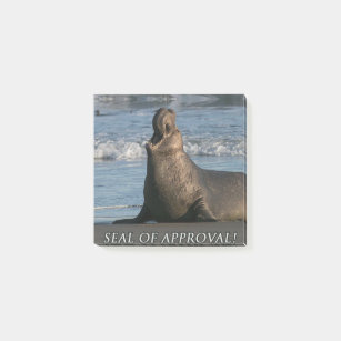 Elephant Seal Of Approval Post-It Notes