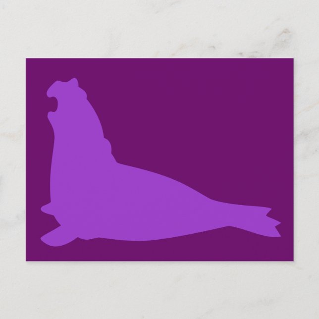 Elephant Seal Postcard Purple (Front)