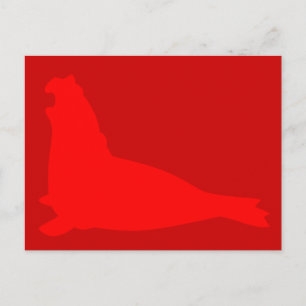 Elephant Seal Postcard Red