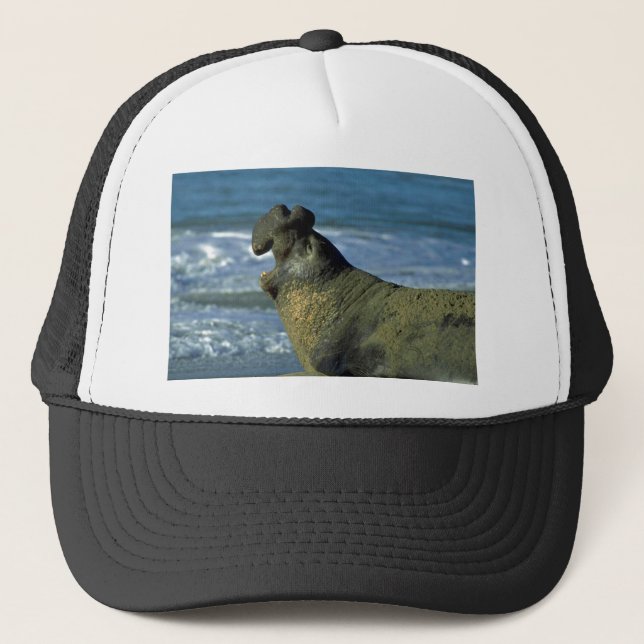 Elephant Seal Roaring On Beach Trucker Hat (Front)