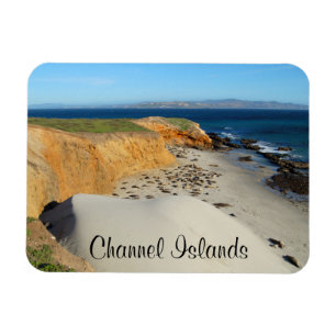 Elephant Seals, San Miguel Island, Channel Islands Magnet