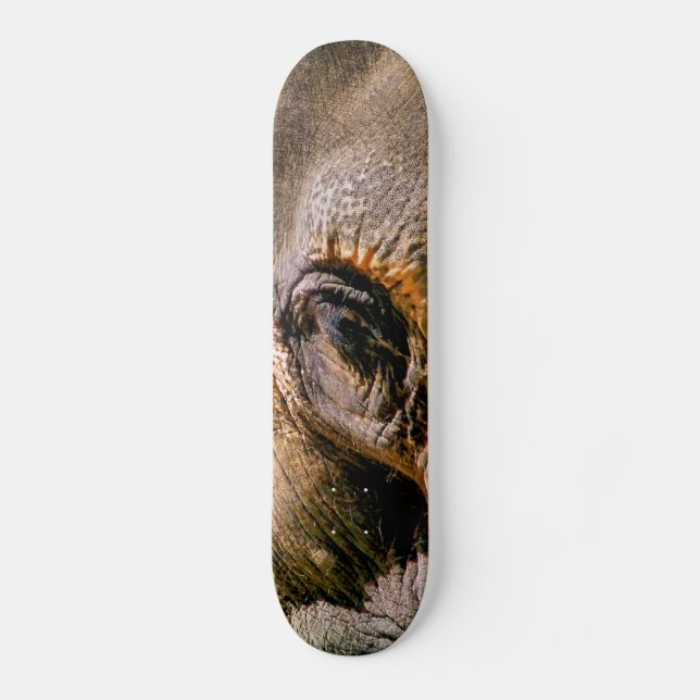 ELEPHANT SKATEBOARD (Front)