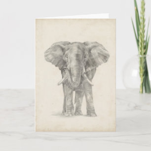 Elephant Sketch Card