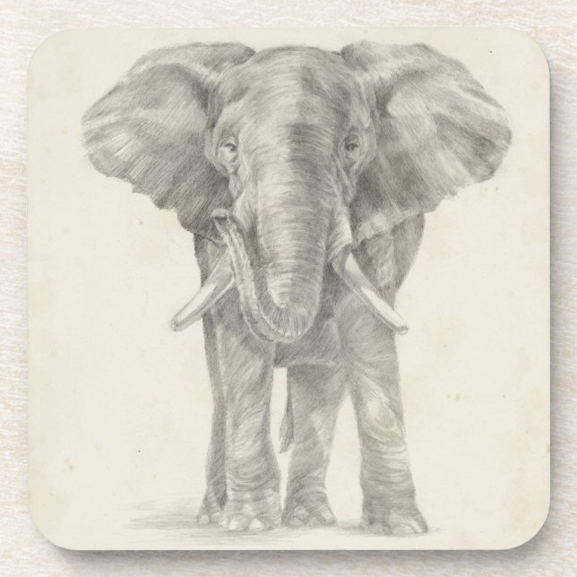 Elephant Sketch Coaster (Front)