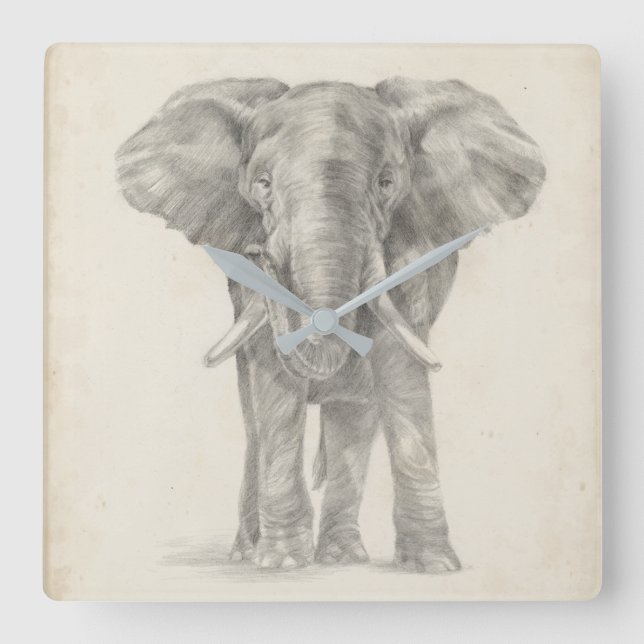 Elephant Sketch Square Wall Clock (Front)