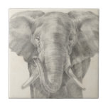 Elephant Sketch Tile<br><div class="desc">This sketch features an African elephant | Ethan Harper. Image ID: 116578Z</div>