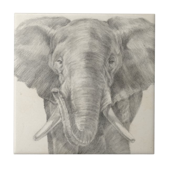 Elephant Sketch Tile (Front)