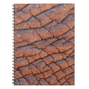Elephant skin elephant notebook