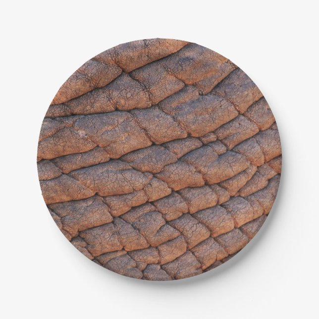 Elephant Skin Paper Plate (Front)