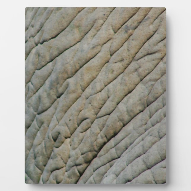 Elephant Skin Personalised With Your Name Plaque (Front)