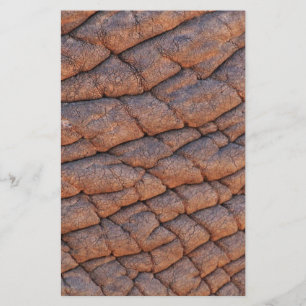 Elephant Skin Stationery