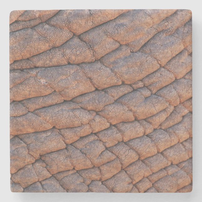 Elephant Skin Stone Coaster (Front)