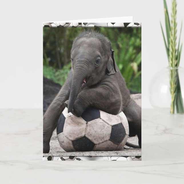 Elephant Soccer Card (Front)
