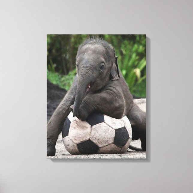Elephant Soccer Wrapped Canvas Print (Front)