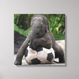 Elephant Soccer Wrapped Canvas Print