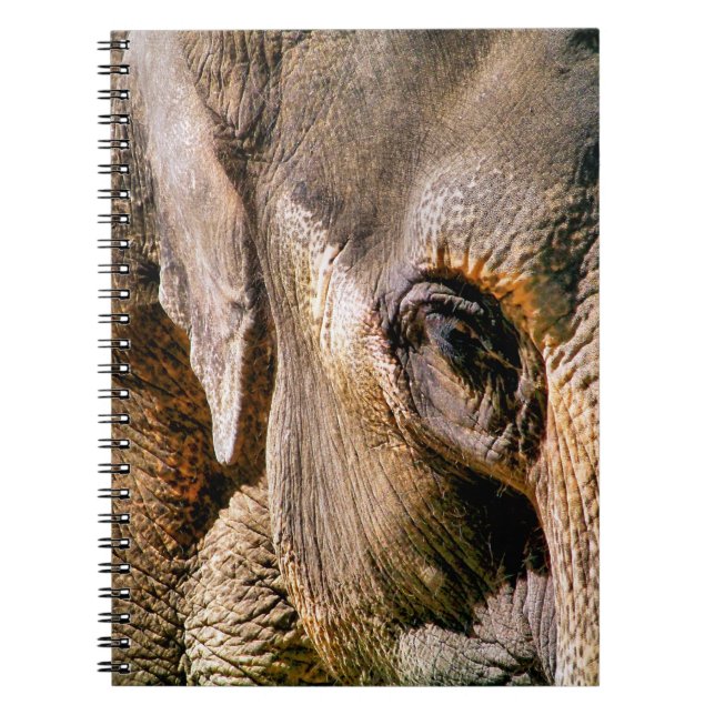 ELEPHANT SPIRAL NOTEBOOK (Front)