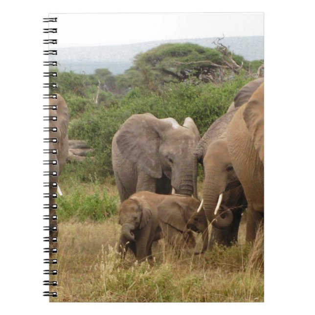 elephant spiral notebook (Front)
