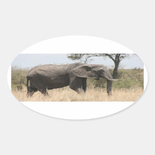 elephant stand oval sticker