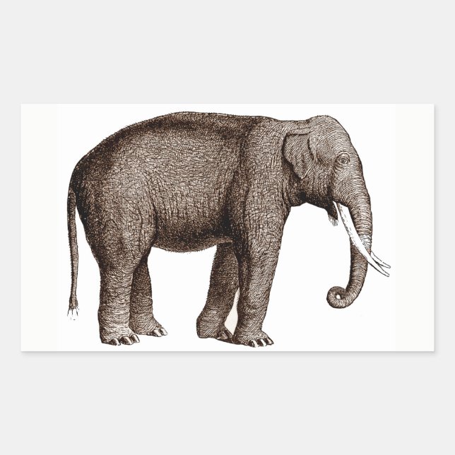 Elephant Sticker (Front)