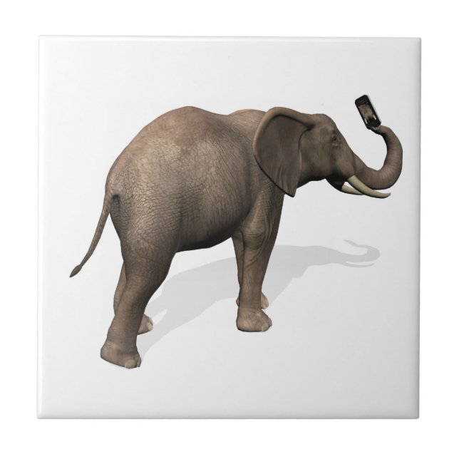 Elephant Taking A Selfie Tile (Front)