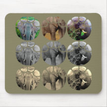elephant tones | Sepia BW Colour