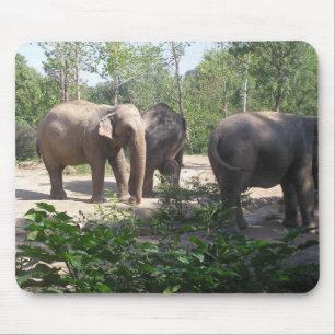 Elephant Trio Mousepad