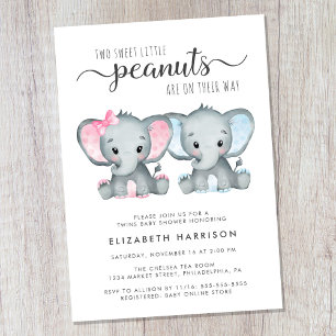 Elephant Twin Girl Boy Baby Shower Invitation