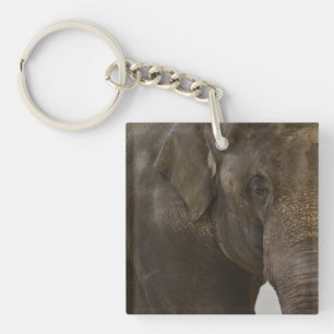Elephant Up-Close Key Ring