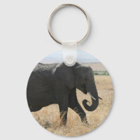 elephant walk