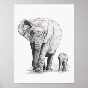 Elephant Walk Poster