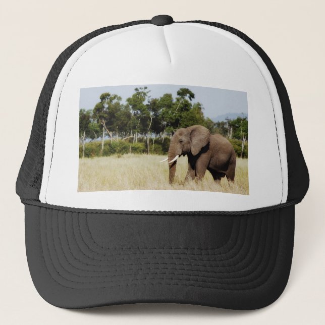 Elephant walking Masai Mara Plains Kenya hat (Front)