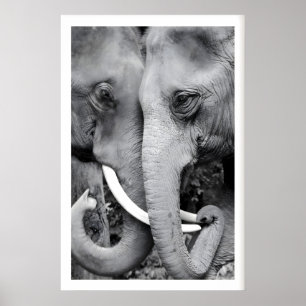 Elephant Wall Art Print Close-Up Black and White
