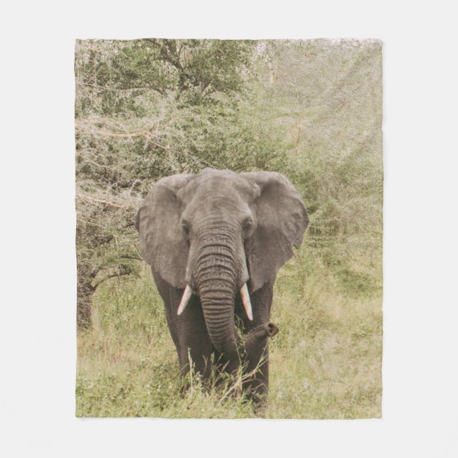 ELEPHANT WATCHING A TOUR CAR FLEECE BLANKET (Front)