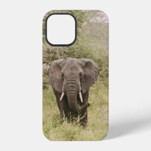 ELEPHANT WATCHING A TOUR CAR iPhone 12 CASE