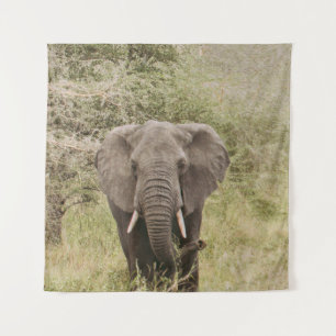 ELEPHANT WATCHING A TOUR CAR TAPESTRY