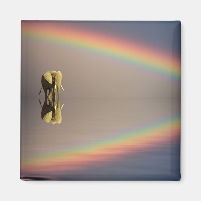 Elephant, Water & Rainbow, Kenya Magnet (Front)