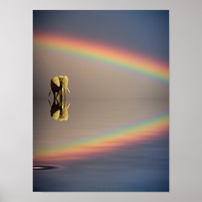 Elephant, Water & Rainbow, Kenya Poster (Front)