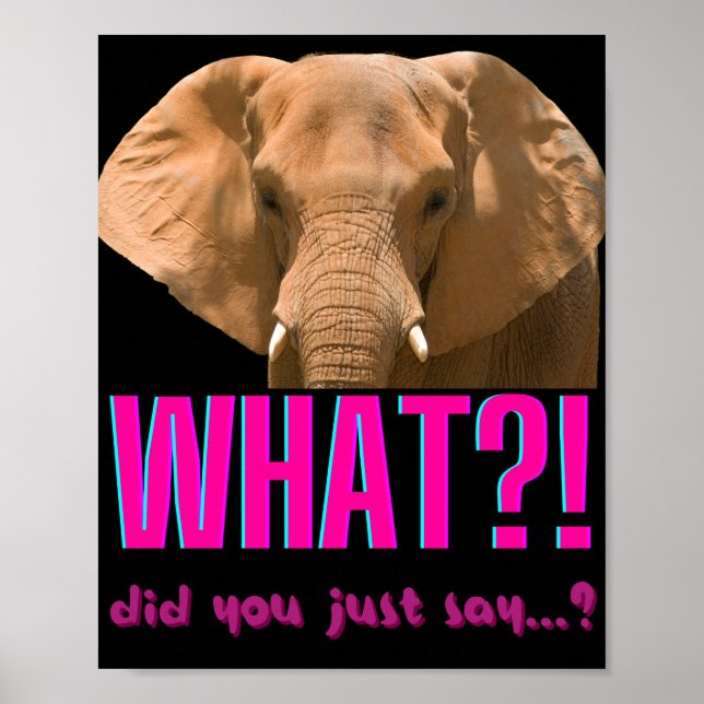 Elephant What Did You Just Say? Poster (Front)