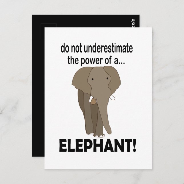 Elephant Wild Animal Funny Elephant Postcard (Front/Back)